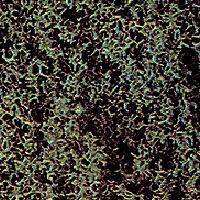 ݥ󥸡Сܡ֥å塡ǺࡡΥ󥹥롡7319