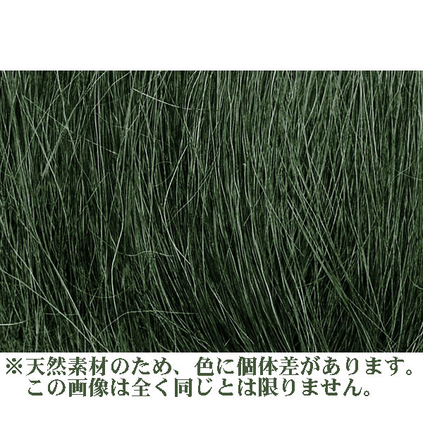 ݷǺ ڥեɥ饹ۡߥǥࡦ꡼СˡåɥɡǺࡡΥ󥹥롡FG174