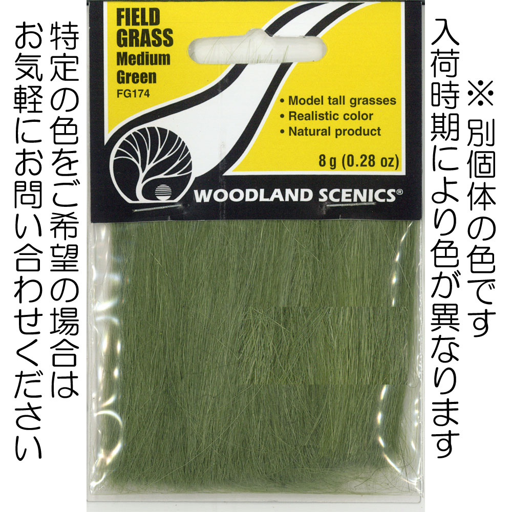 ݷǺ ڥեɥ饹ۡߥǥࡦ꡼СˡåɥɡǺࡡΥ󥹥롡FG174