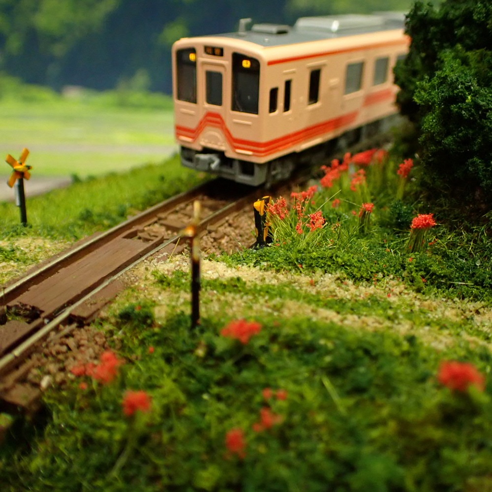 N���������ߥ˥쥤�����ȡ�����߲֤κ餯���ۡ� KDF�������Ѵ����ʡ�1/150������