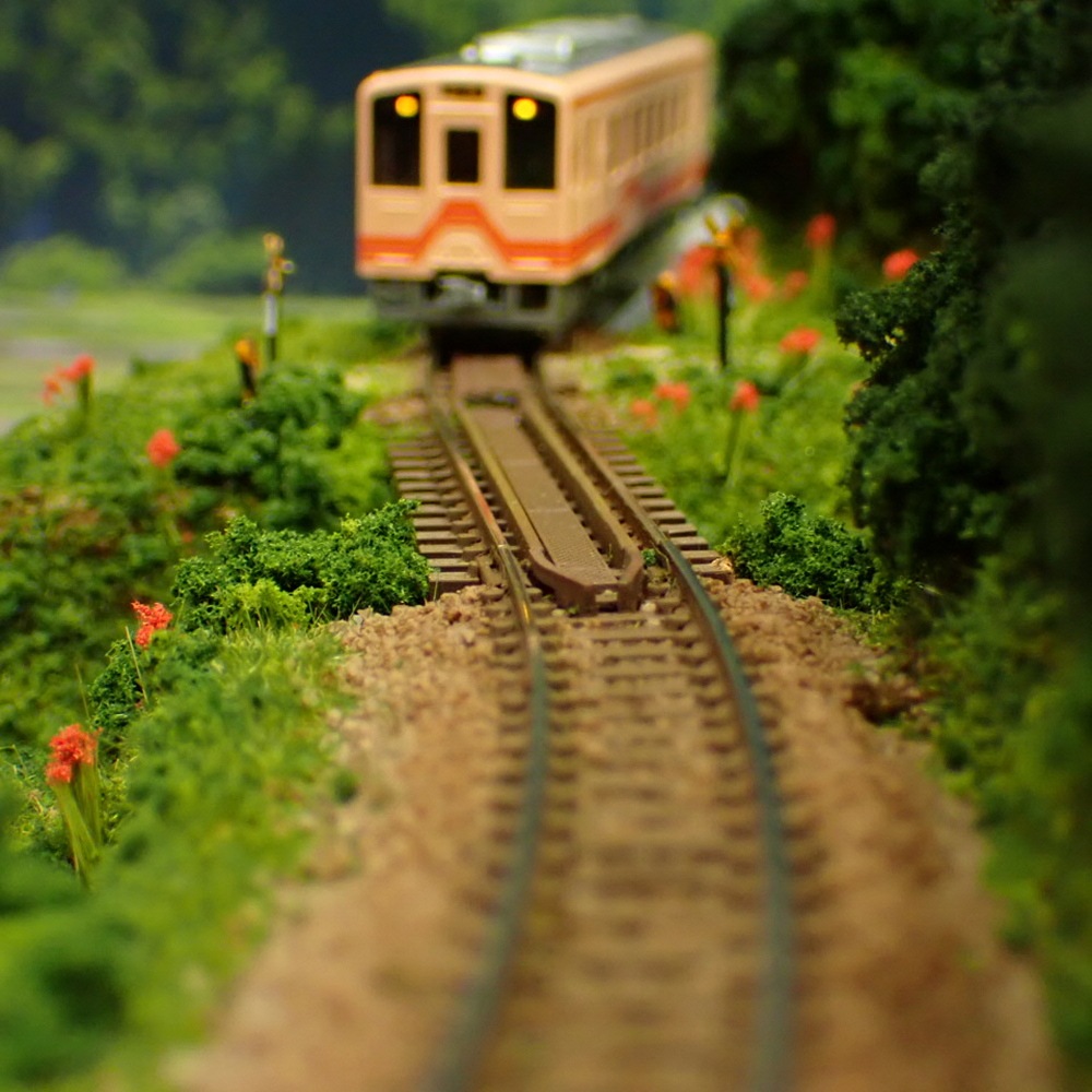 N���������ߥ˥쥤�����ȡ�����߲֤κ餯���ۡ� KDF�������Ѵ����ʡ�1/150������