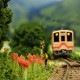 N���������ߥ˥쥤�����ȡ�����߲֤κ餯���ۡ� KDF�������Ѵ����ʡ�1/150������