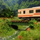 N���������ߥ˥쥤�����ȡ�����߲֤κ餯���ۡ� KDF�������Ѵ����ʡ�1/150������