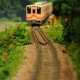 N���������ߥ˥쥤�����ȡ�����߲֤κ餯���ۡ� KDF�������Ѵ����ʡ�1/150������