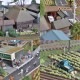 ��ĸ����Ŵ�ס�N�������������쥤�����ȡ�����¼�����������Ѵ����ʡ�1/150