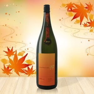 ���� OCEAN99 ����-Arrival- ���ƶ����1.8L��