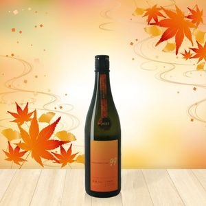 ���� OCEAN99 ����-Arrival- ���ƶ����720ml��