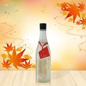 ���� Sara the starry night Altair ����