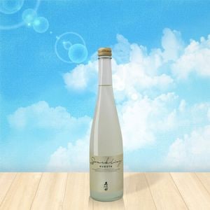 ������ ���ѡ�����󥰡�500ml��
