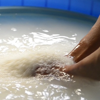 ��ʿ�� ���Ƽ� [1.8L]