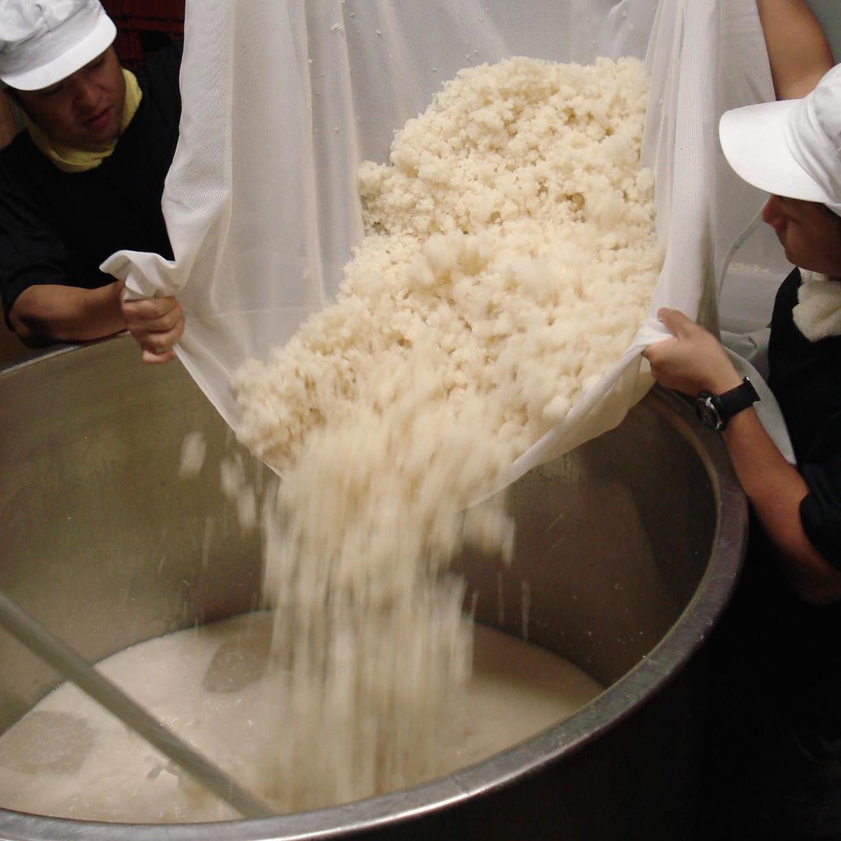 �ˤ�Τ������� ����� ���Ƽ� [1.8L]