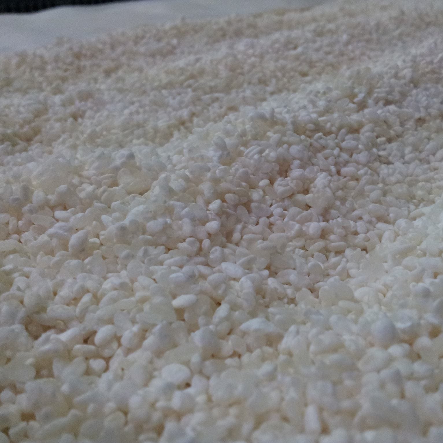 �ˤ�Τ������� ����� ���Ƽ� [1.8L]