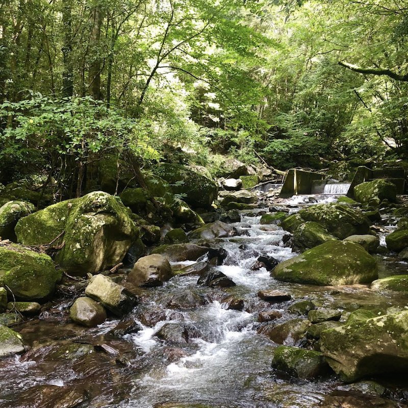 ���� ������ [720ml]