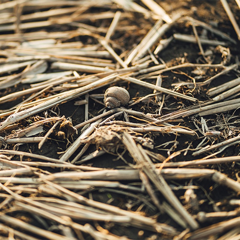 ��� ��ȥ� �����ʲ����� [720ml]