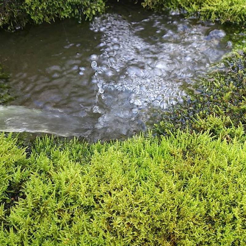 ���� ����ʤ����줤�˽��������� [720ml]