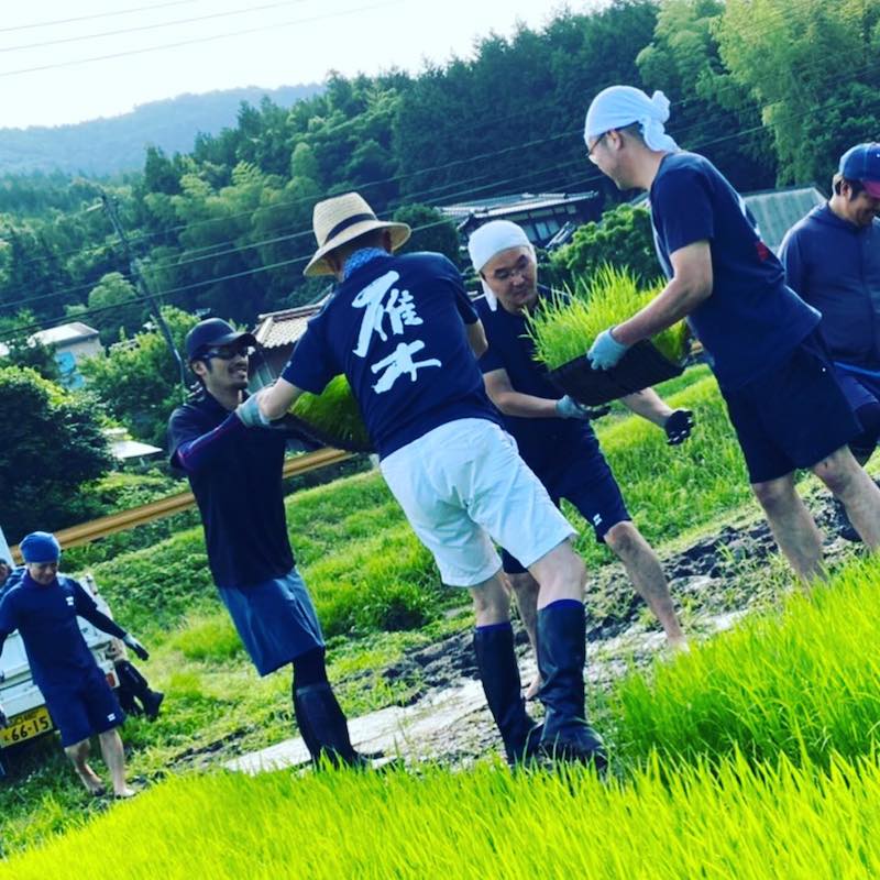  ΰ ̵ɲḶ Ƽ [720ml]