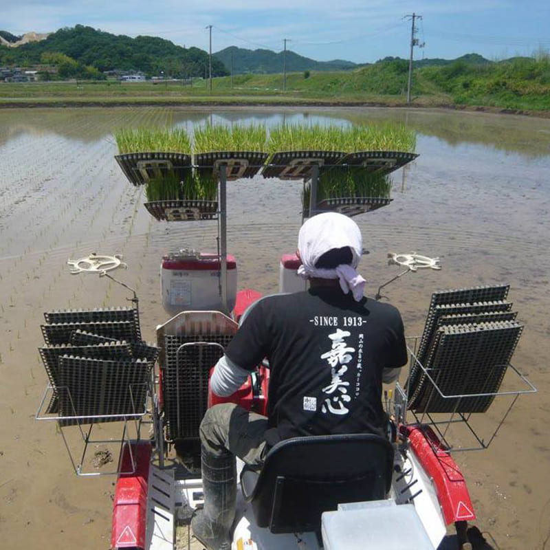 ���� �������� ̵�ɲ������������� [720ml]