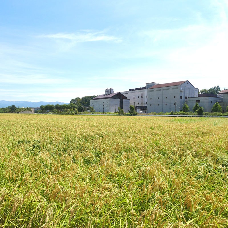 ������ ���������� [1.8L]