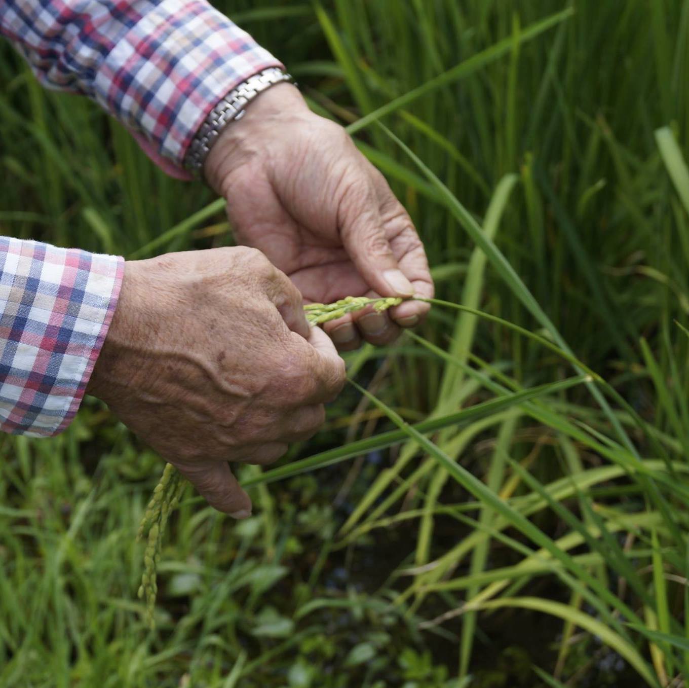 ���ʤ� Ķ�ɸ� ���Ƽ� [1.8L]