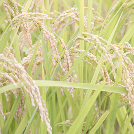 ���� ���̽��� 13�ٸ��� [720ml]