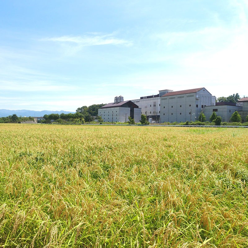 �����ġ�����׶���� [720ml]