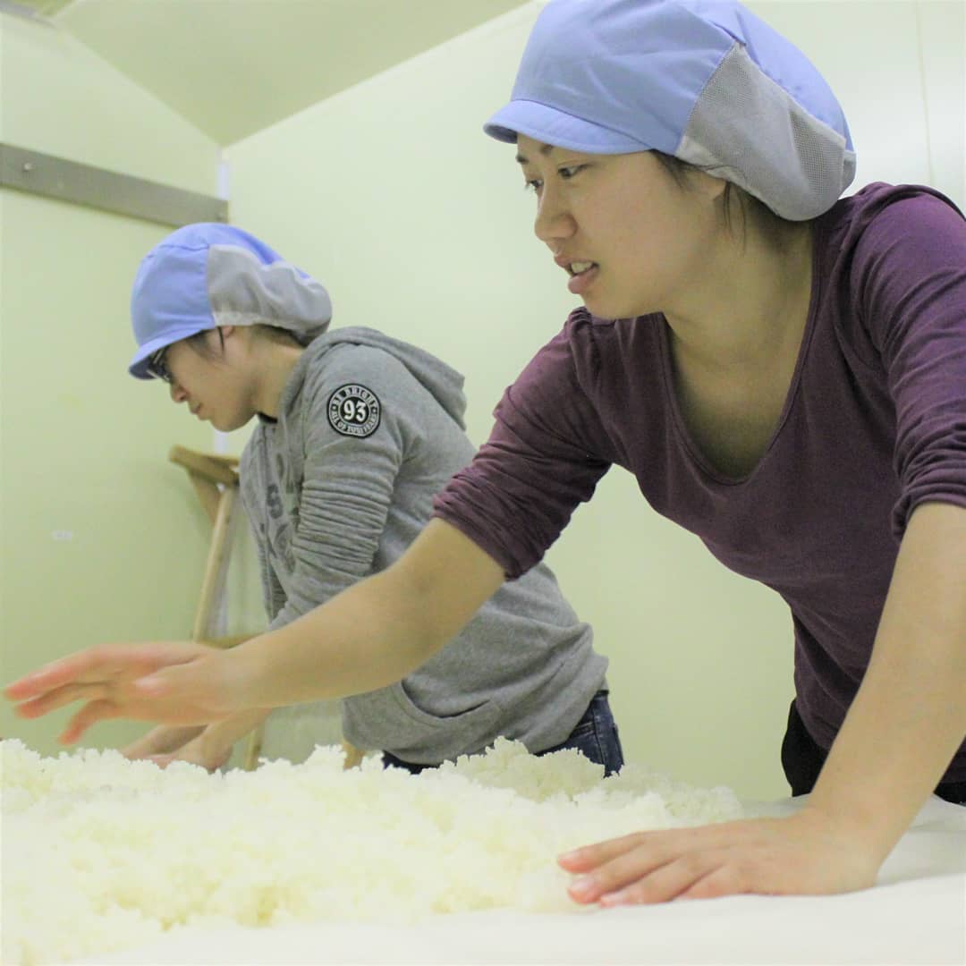 大入りにごり 濁濁 梅酒 [720ml] | リキュール,梅酒 | ひさや酒店