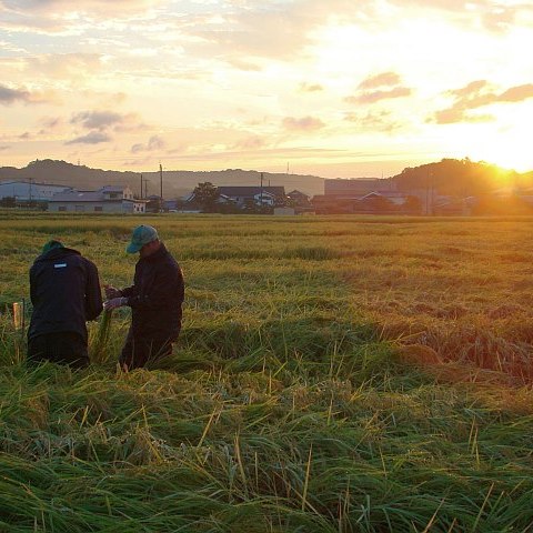 ��ɱ�ֶ���� ������ [1.8L]