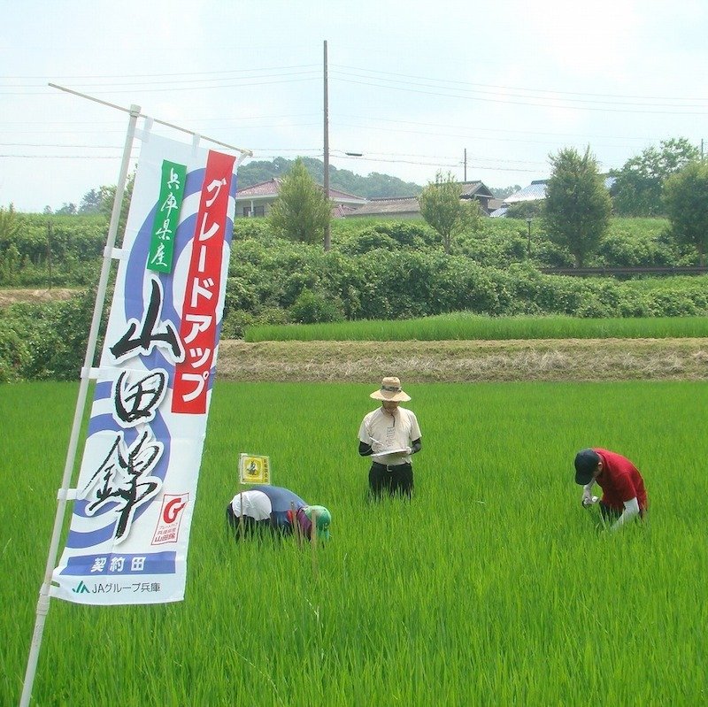 ��ɱ�ֶ�׹� ������ [720ml]