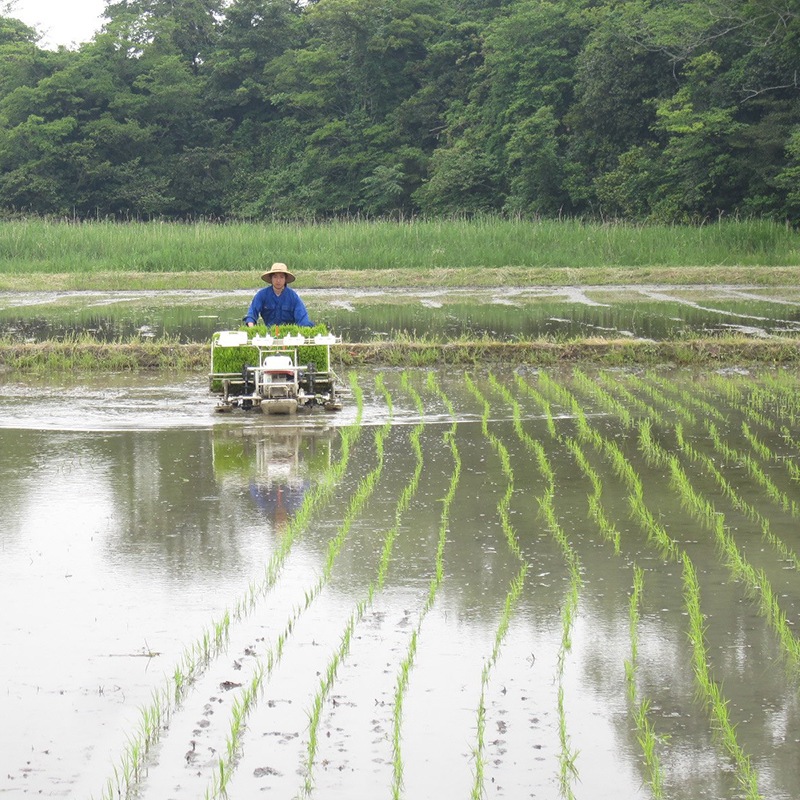 ���� ������ ���Ƽ� [1.8L]