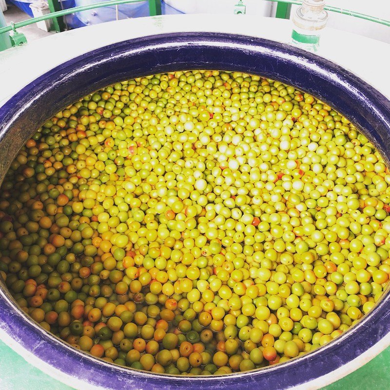 ���� ���Ϥˤ����߼� [1.8L]