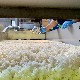���ܥԥ奢�֥�å� ���ƶ���� [720ml]
