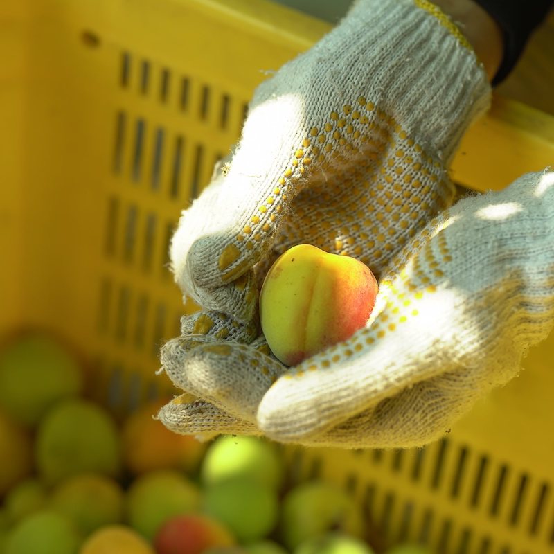 ���� �椺�� [720ml]