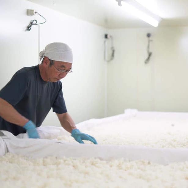 ���� KID ���Ƽ� [1.8L]