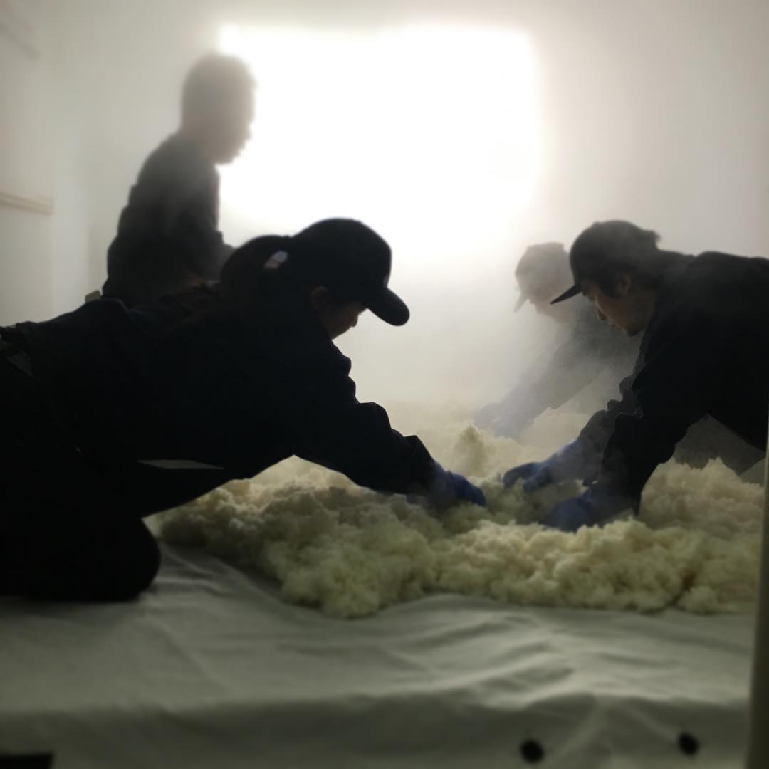 ������ shi-bi-en �� �ɸ� ���Ƽ� [1.8L]