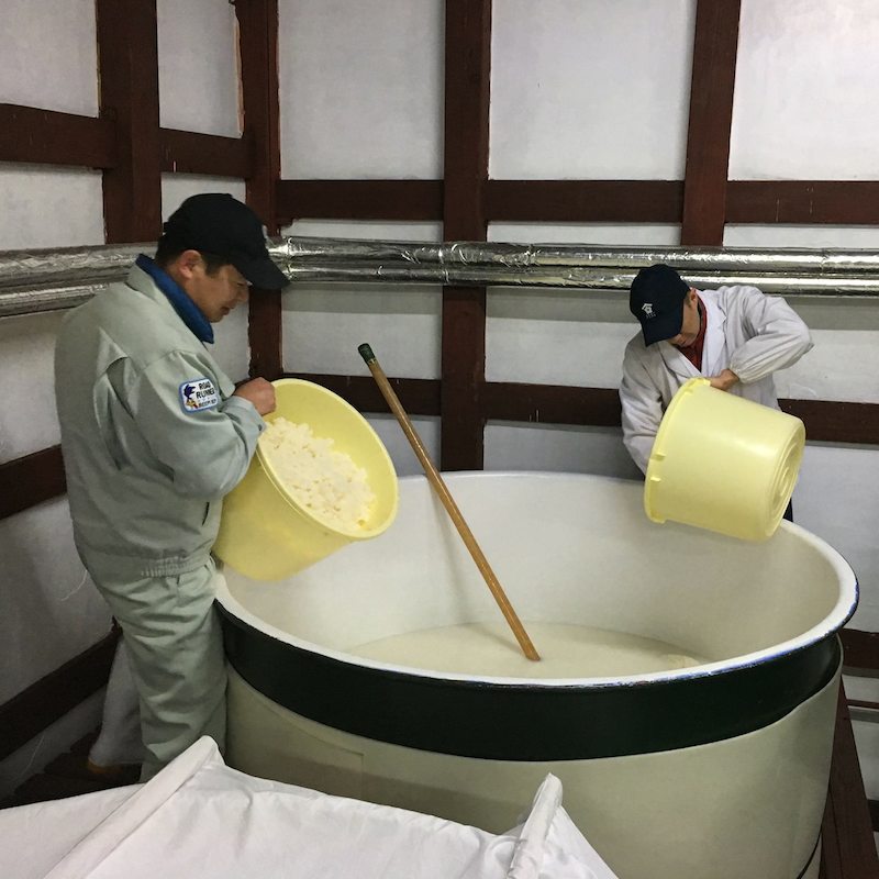 新政 エクリュ 純米酒 [720ml] | 日本酒,純米酒 | ひさや酒店