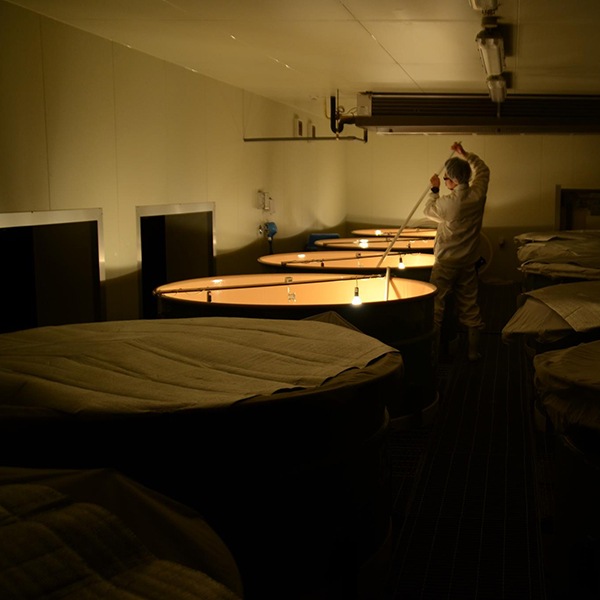 ܺ ѡ45  [360ml] 12ܥå