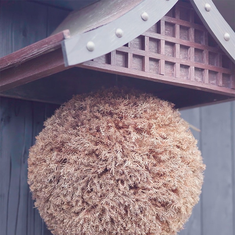 ���¡�HIRAN�˥֥�å�����å� �ˤ߿ɸ�[1.8L]