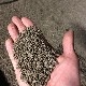 ���Τ��� ����� [1.8L]