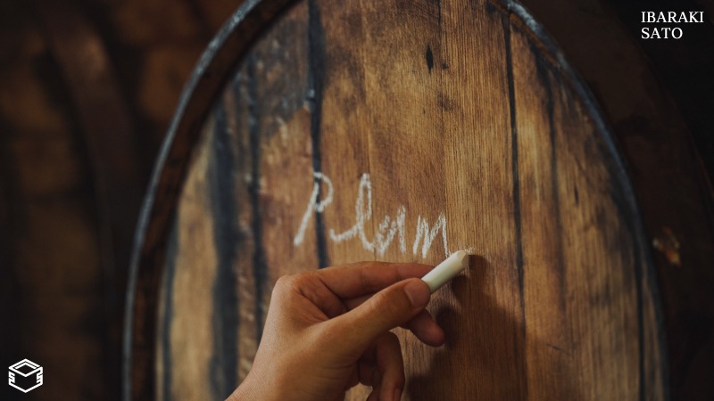 高蔵 REBORN PLUM WINE CASK FINISH 200ml