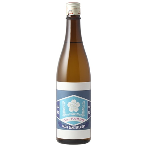 じゅん坊様御専用 善財童子立像（文殊菩薩騎獅像および侍者立像のうち） 文化遺産オンライン