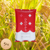 《送料無料》令和6年産／熊本県産「ひのひかり」5kg