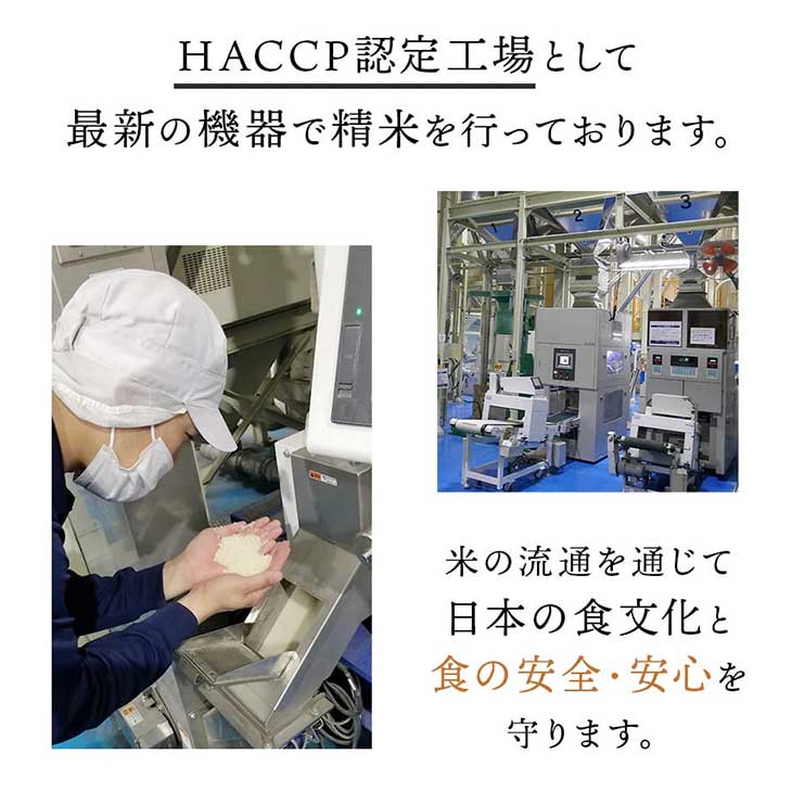 《送料無料》令和6年産／福岡県産「夢つくし」無洗米10kg（5kg×2袋）