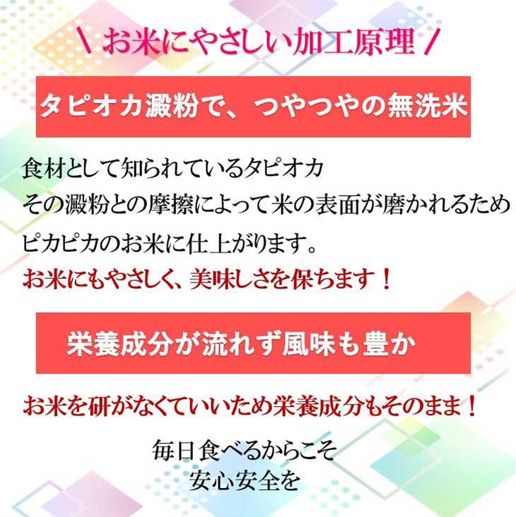 《送料無料》令和6年産／福岡県産「夢つくし」無洗米10kg（5kg×2袋）