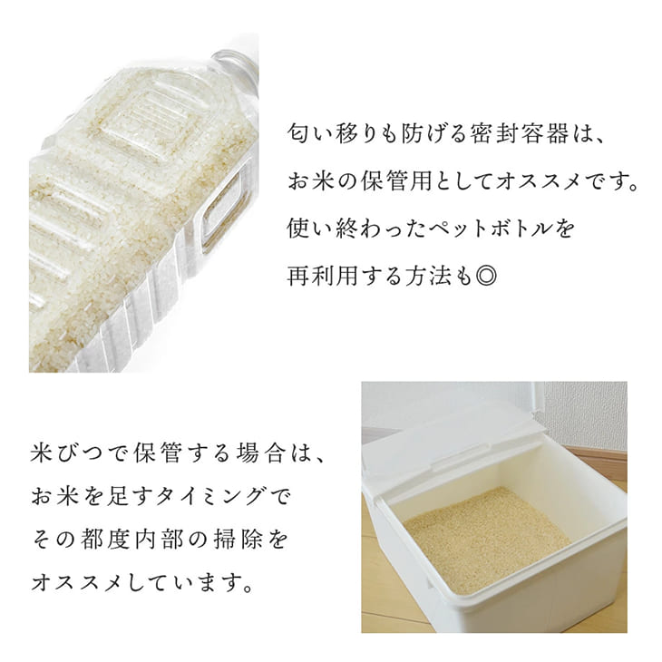 《送料無料》令和6年産／熊本県産「ひのひかり」5kg
