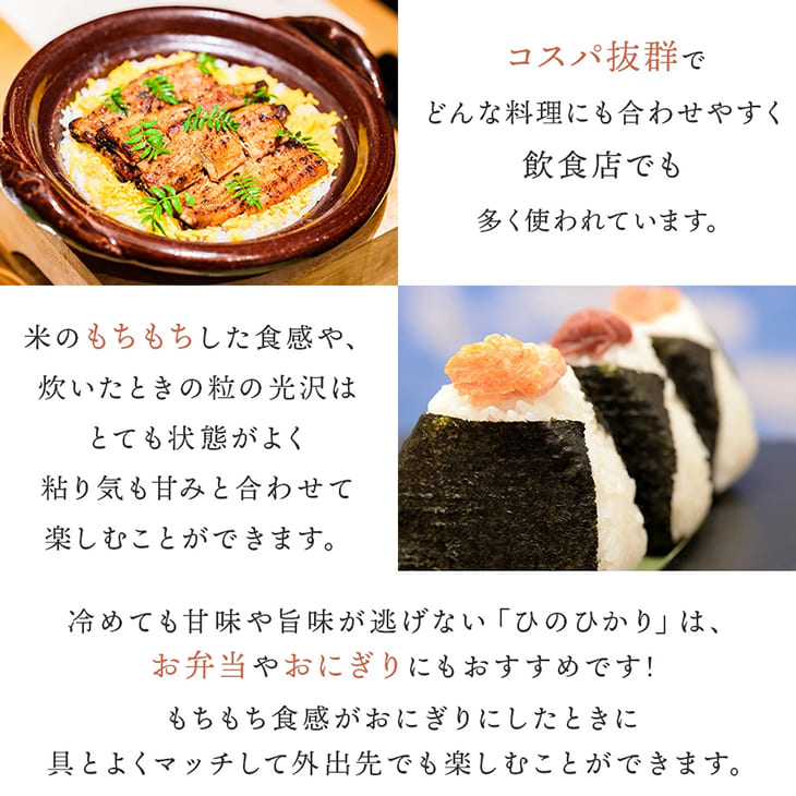 《送料無料》令和6年産／熊本県産「ひのひかり」5kg