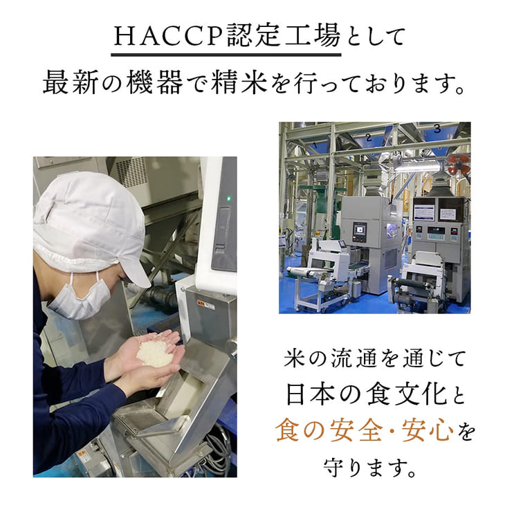 《送料無料》令和6年産／熊本県産「ひのひかり」5kg