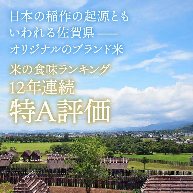 《送料無料》令和6年産／佐賀県産「さがびより」5kg