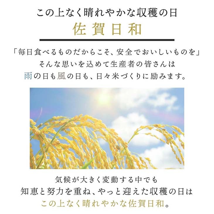 《送料無料》令和6年産／佐賀県産「さがびより」5kg