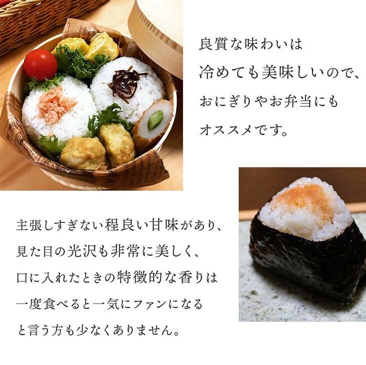 SAY餅　準自然米　福岡県産「元気つくし」令和５年産　玄米20kg SAY餅様専用 準自然米 福岡県産「元気つくし」令和5年産 玄米20kg