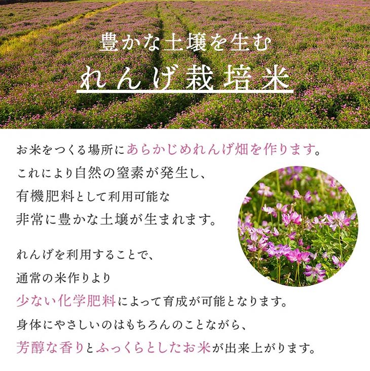 《送料無料》令和6年産／福岡県産「夢つくし」5kg